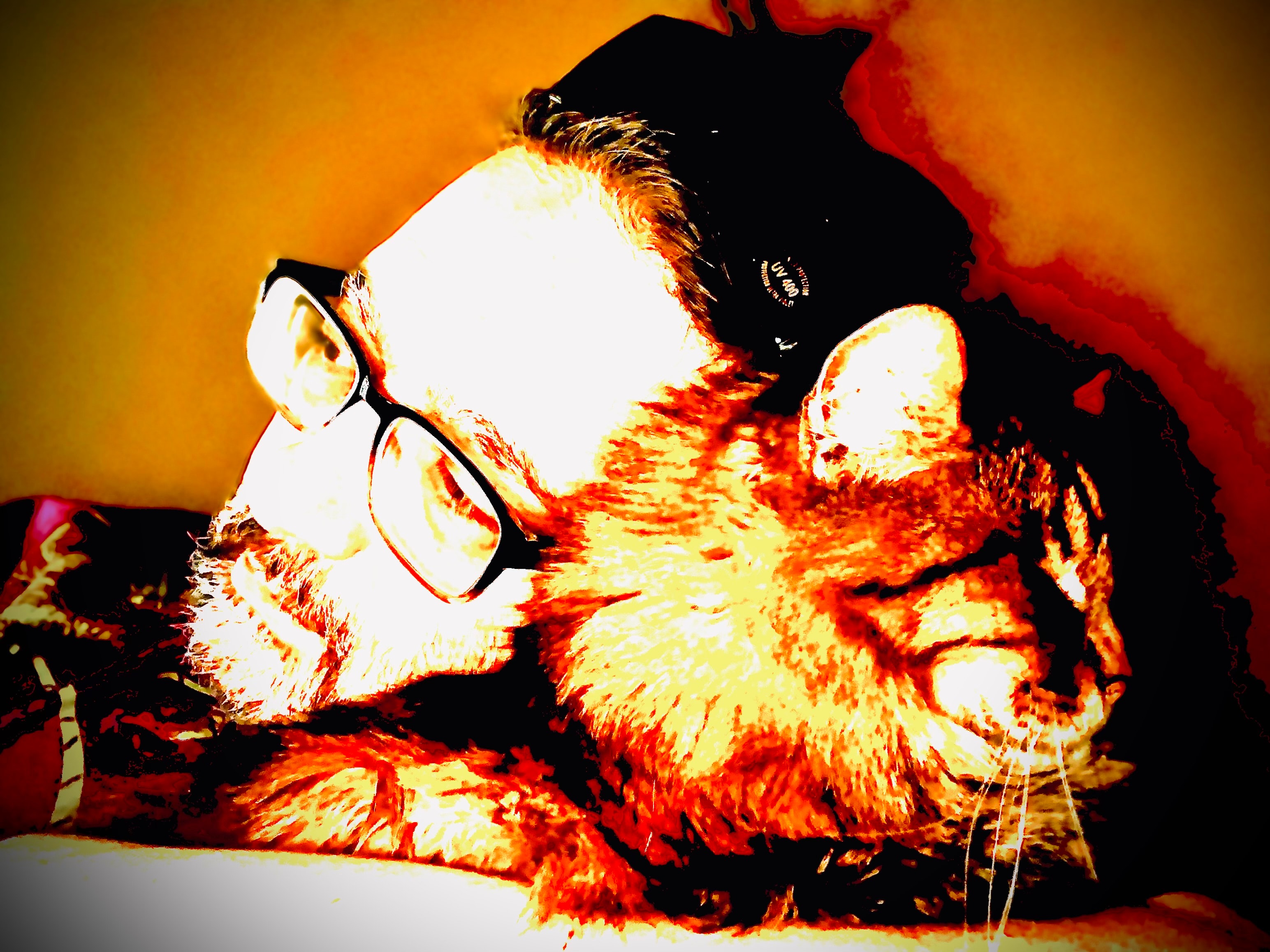 King Tiger in warm golden tones